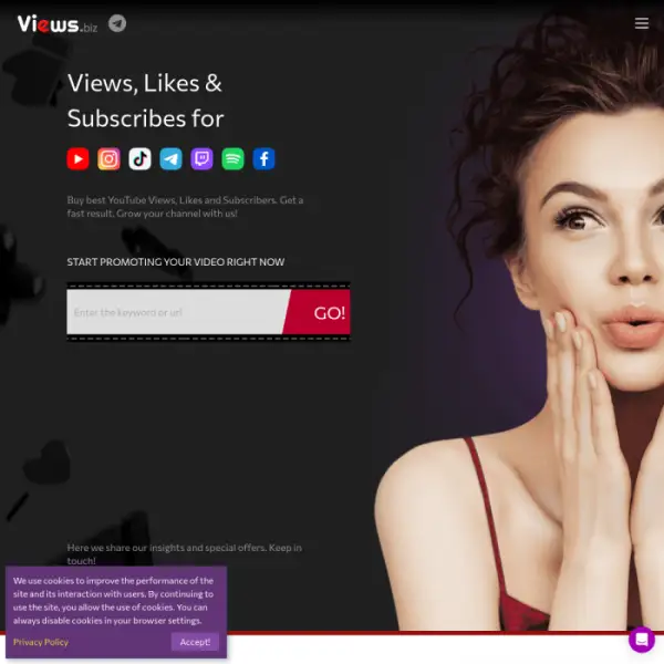 Views.biz ist ein ausgezeichneter Dienst, der eine erfolgreiche Werbung in sozialen Netzwerken ermög